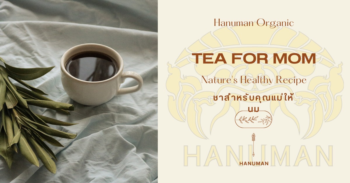 ชาสมุนไพร - Herbal Tea: Technically not tea since it doesn't come from ...