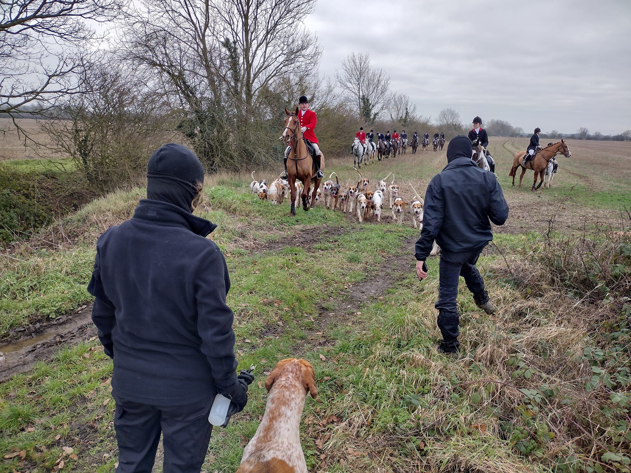 Nottingham Hunt Saboteurs - Currently sabbing the Blankney Hunt who met ...