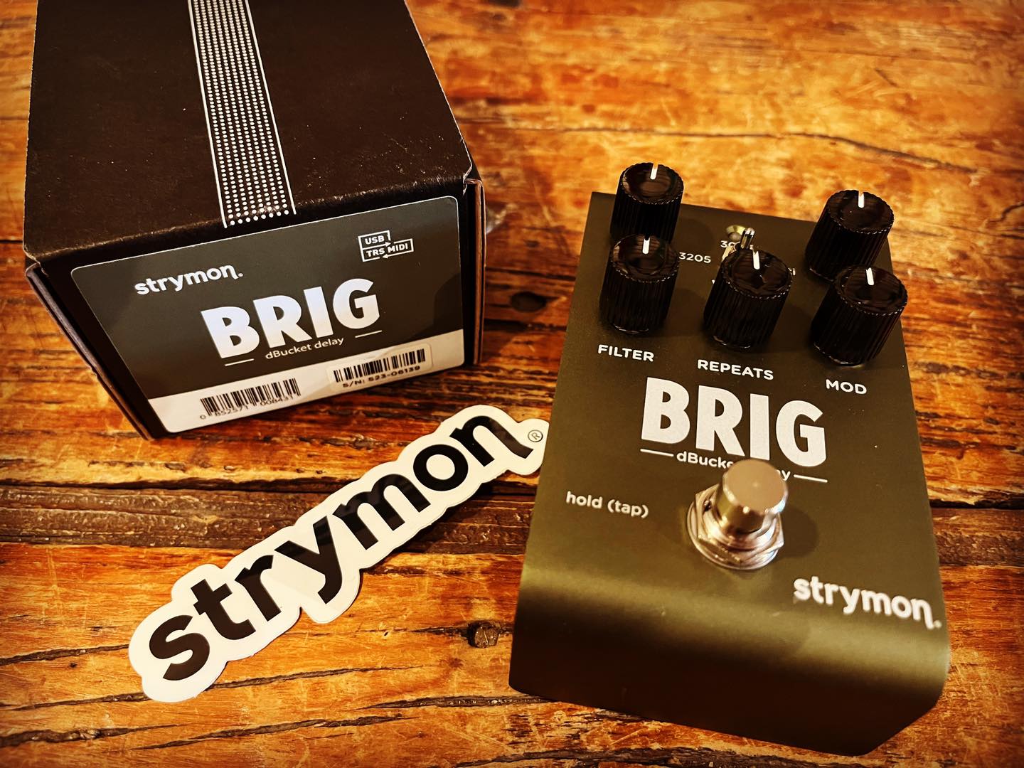 Strymon Brig - 6 Amazing Tones with Settings! Guitar Gateway