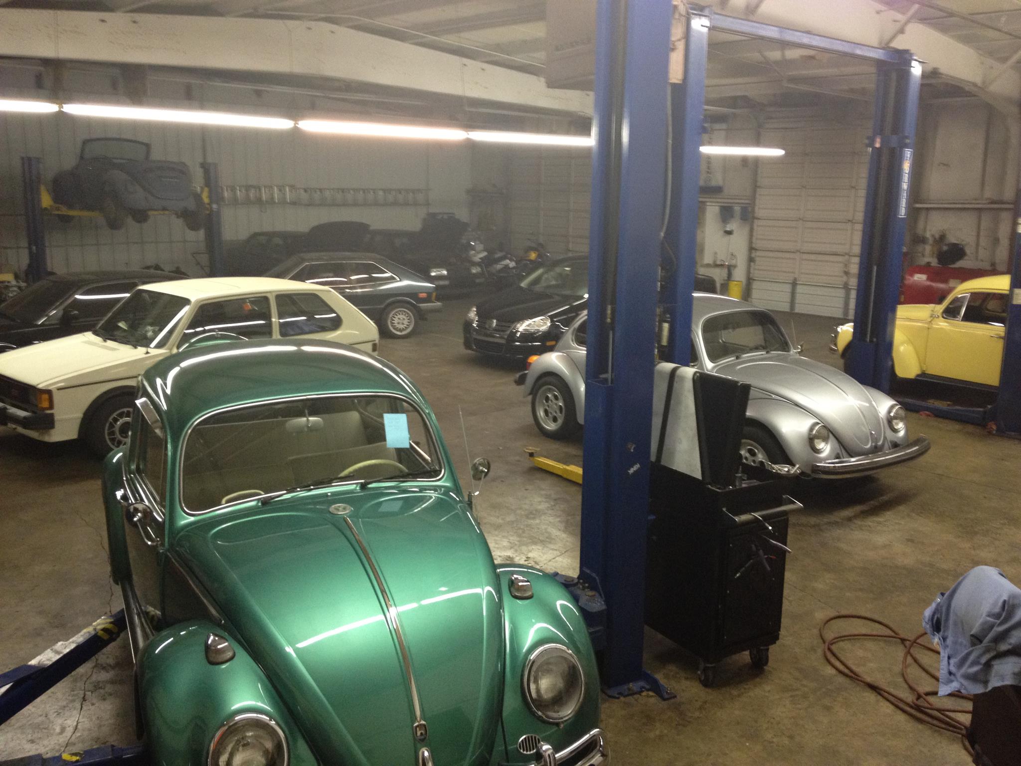 Jason's Bug Ranch | Winter Garden FL