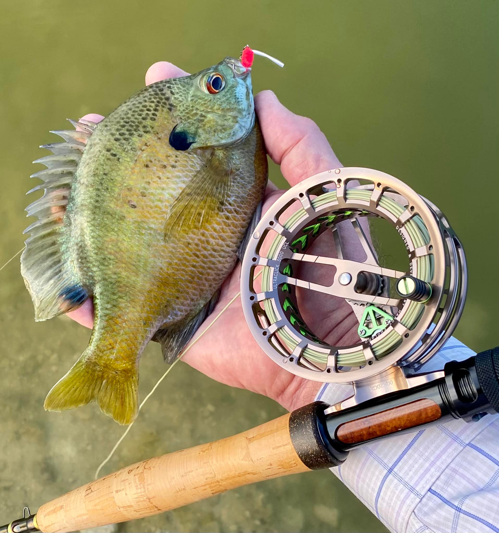 best fly reel for panfish Amazon Sellers: Best Fishing Reels Fly Fishing for Bluegills: Here's