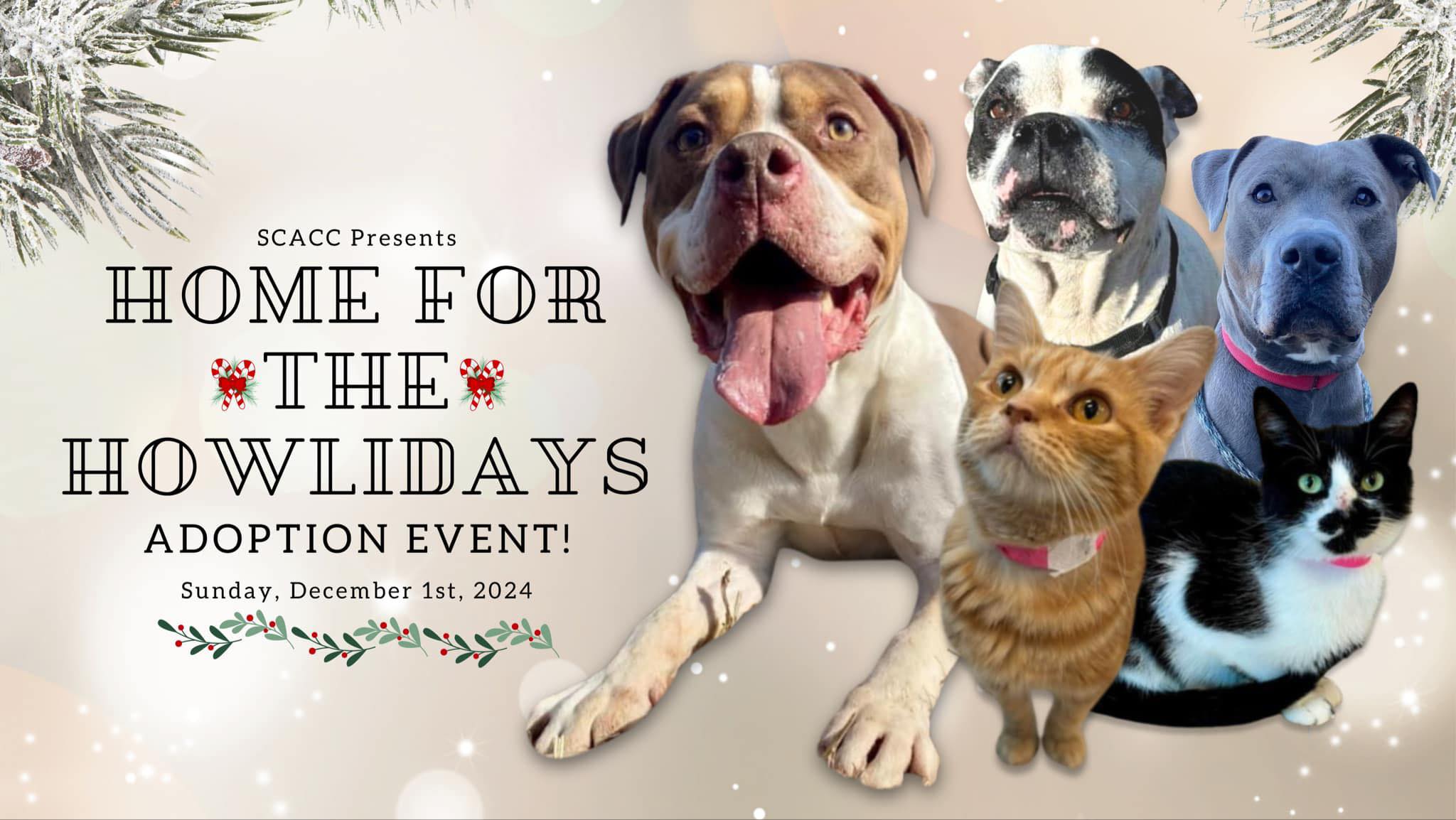 Home for the Howlidays Adoption Event