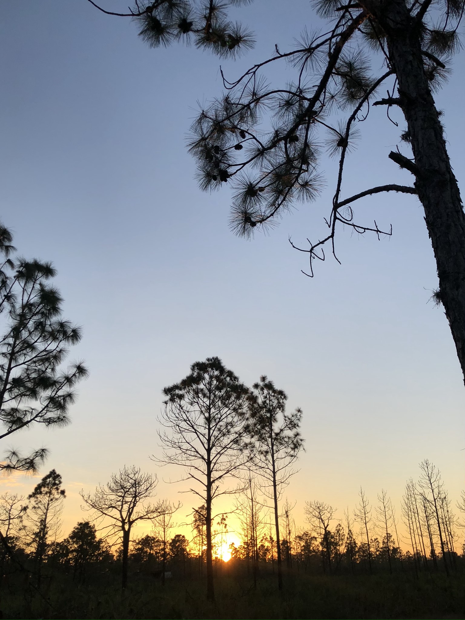 M&J Lands - River Ranch Property | Winter Haven FL