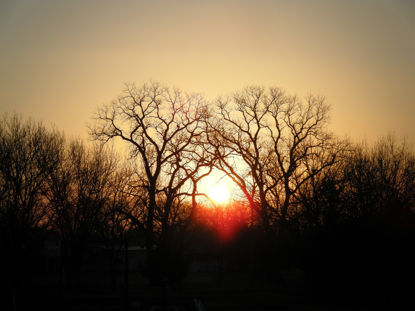 Top Notch Tree & Landscape | Knox County OH