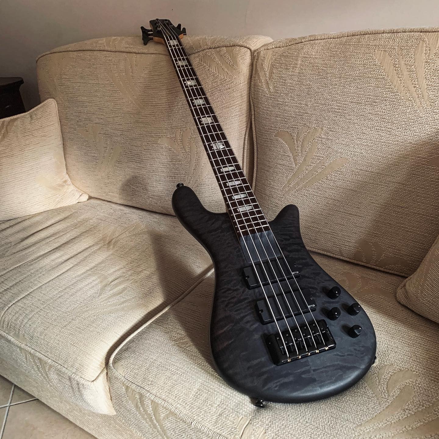 Introducing Autumn, my 2005 Spector Euro ReBop 4 bass