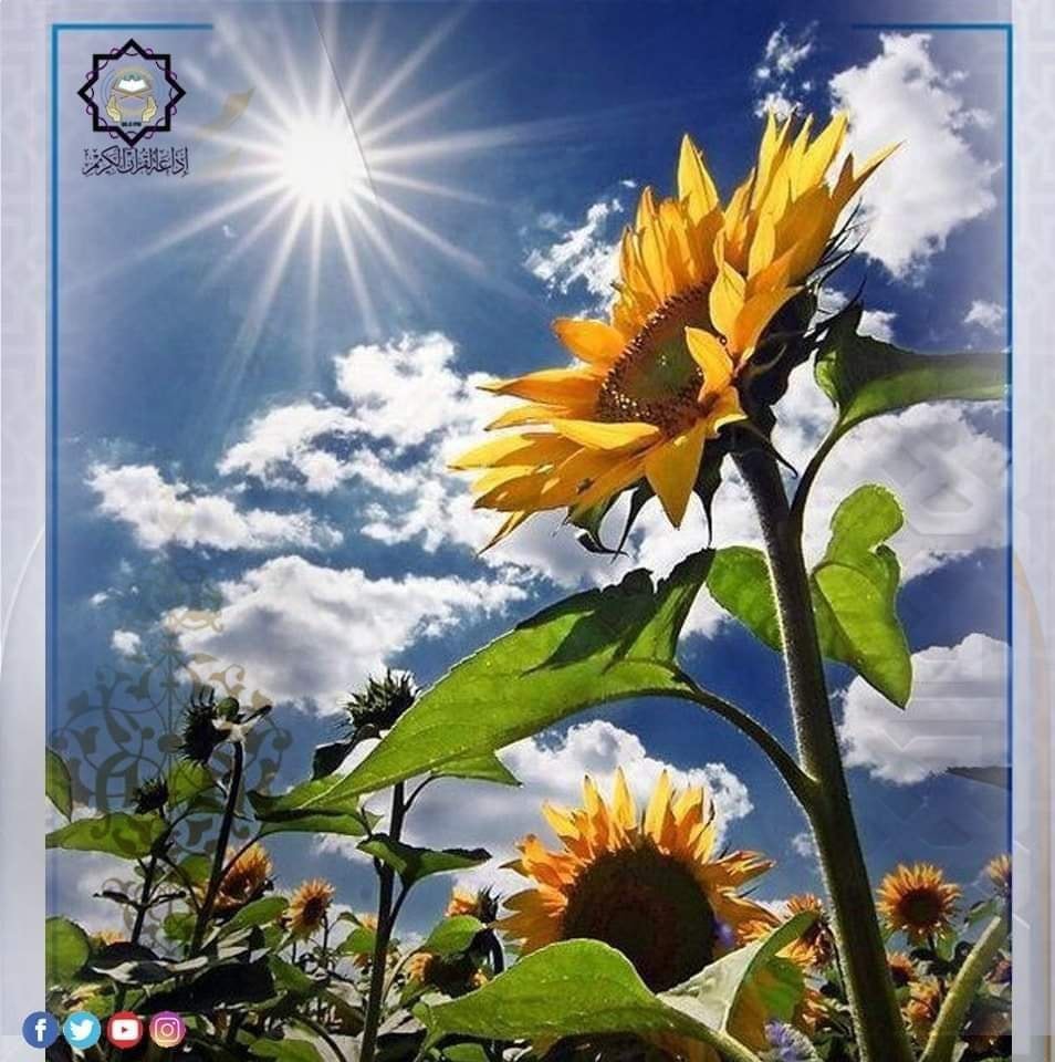 🌿اللهم إنا نعوذ بك من... - إذاعة القرآن الكريم من القاهرة