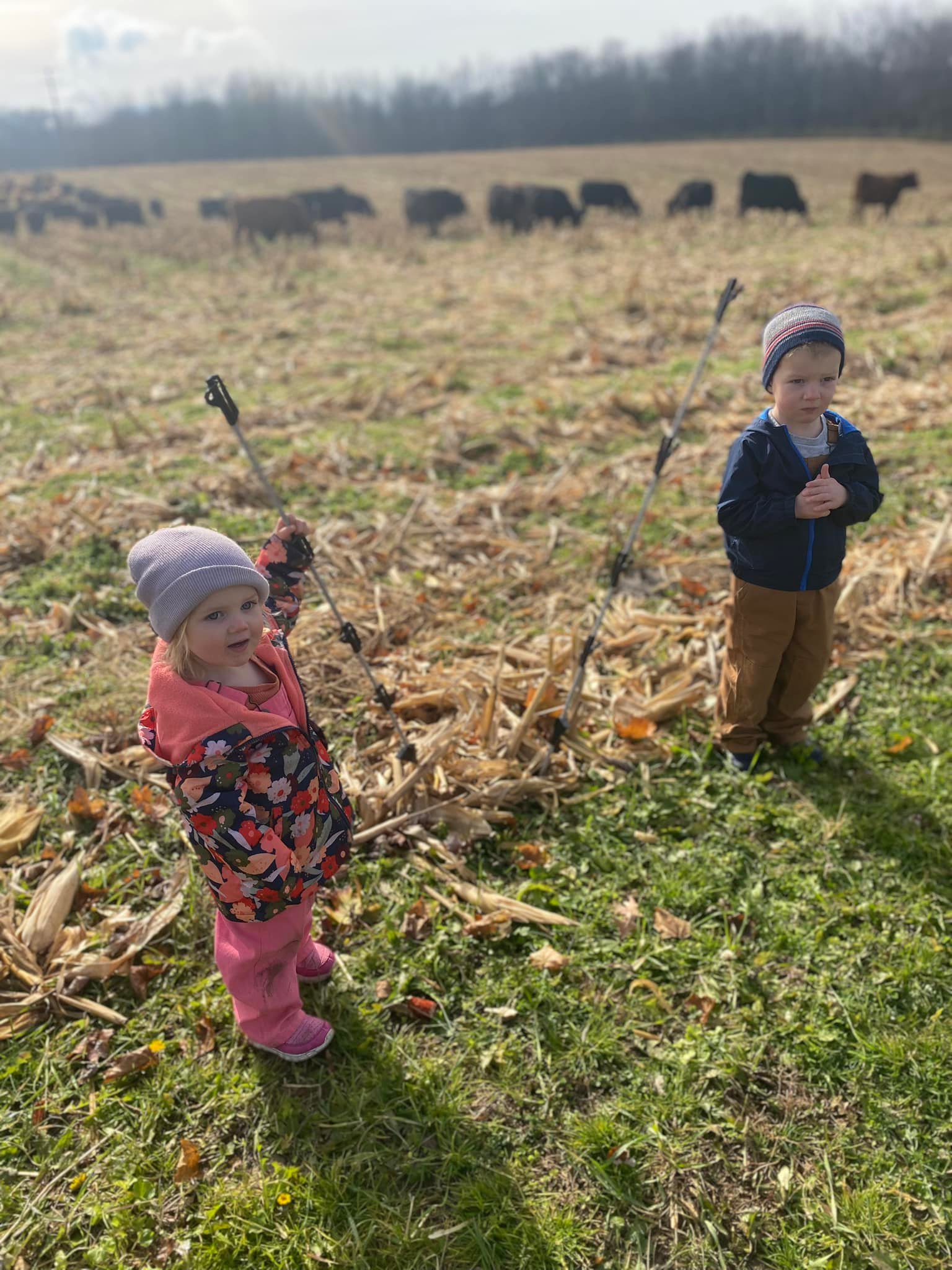 Blue Hill Farms | Selinsgrove PA