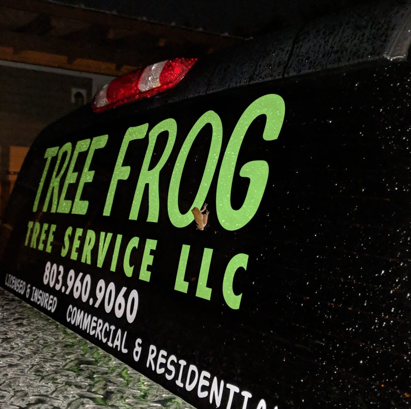 Making the tree miss house and porch. #treepersuasion | Tree Frog Tree ...