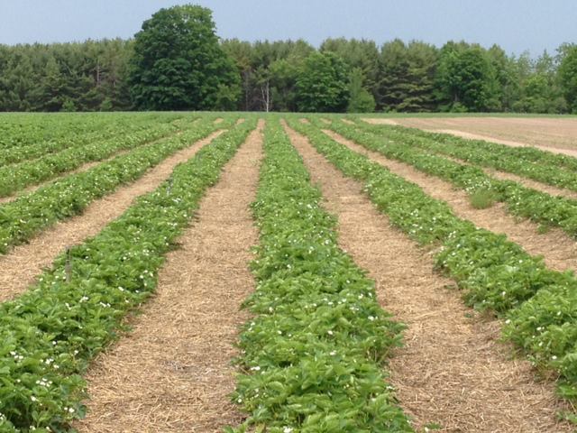 DeBaker Acres | Sturgeon Bay WI