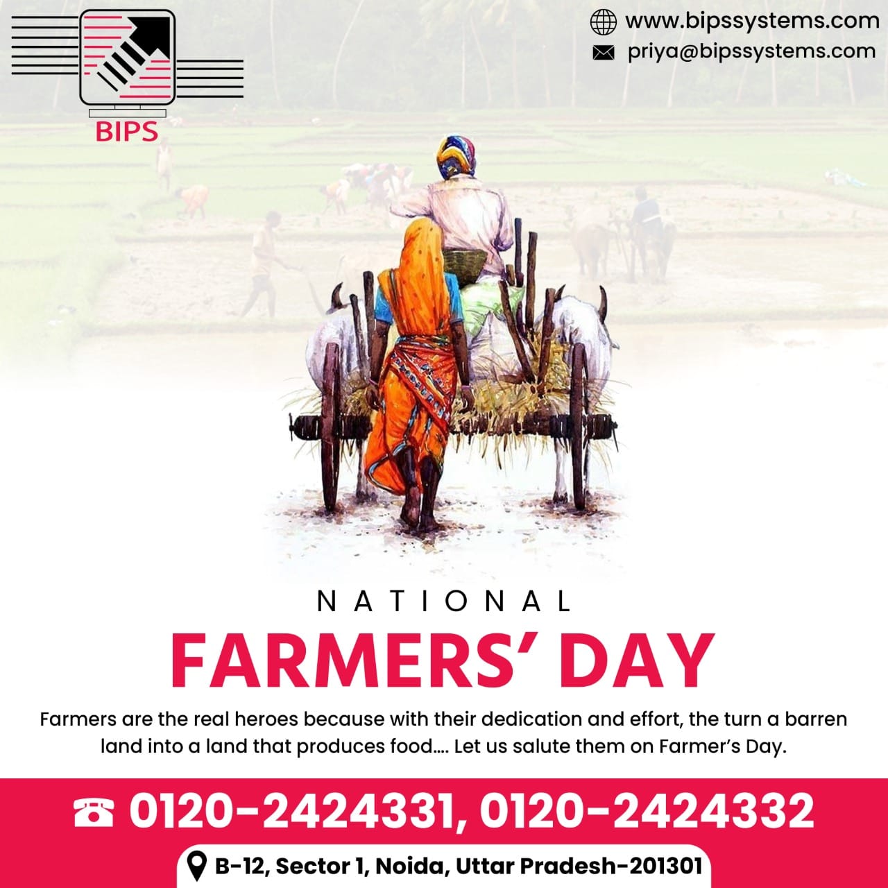 Bips Systems limited