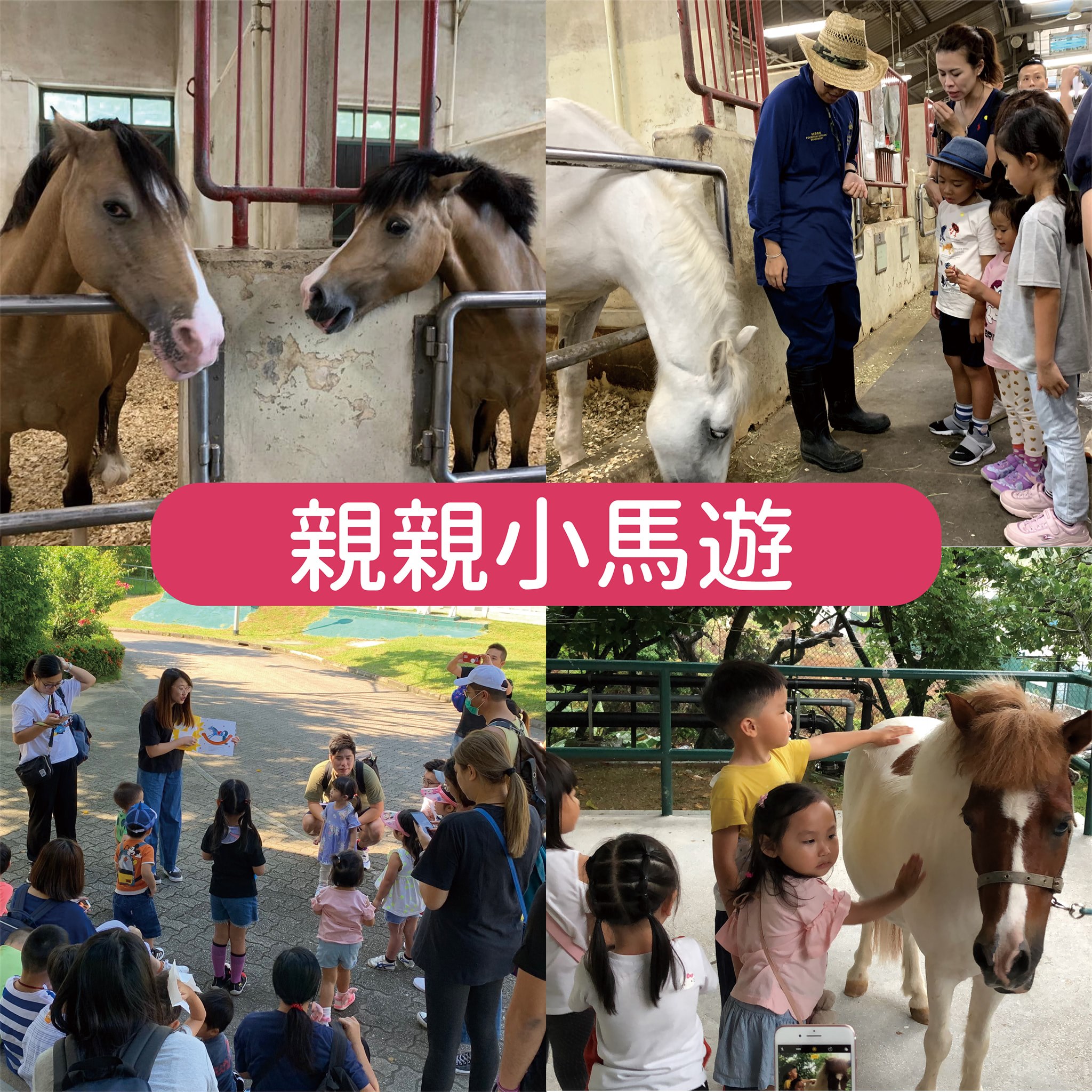 Playority 玩優先 - #親親小馬 馬仔點樣沖涼？馬仔平時三餐食什麼？馬仔著咩鞋？ 留言 #馬仔 話你知最新日程！ #玩 #好玩 #馬 ...