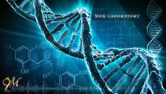 Max Laboratory