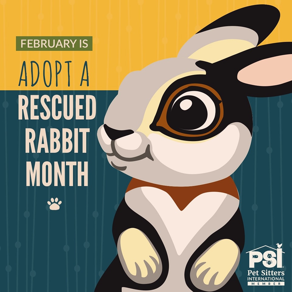 🐰 Aside from dogs and... - Little Critters Pet Sitters LLC