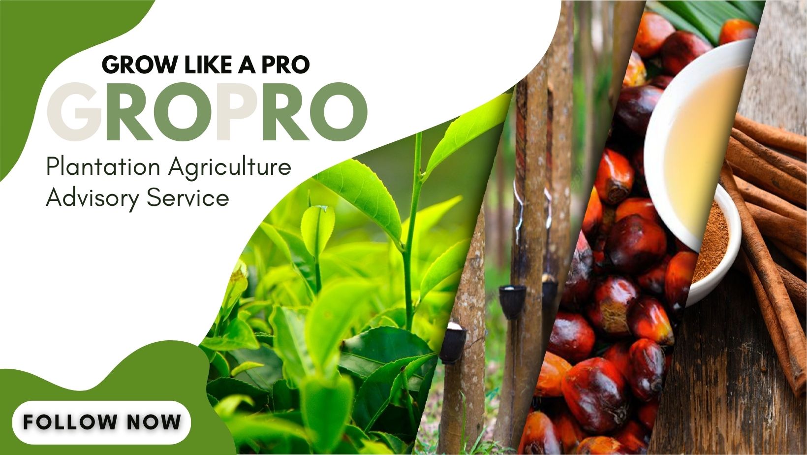 GroPro | Colombo