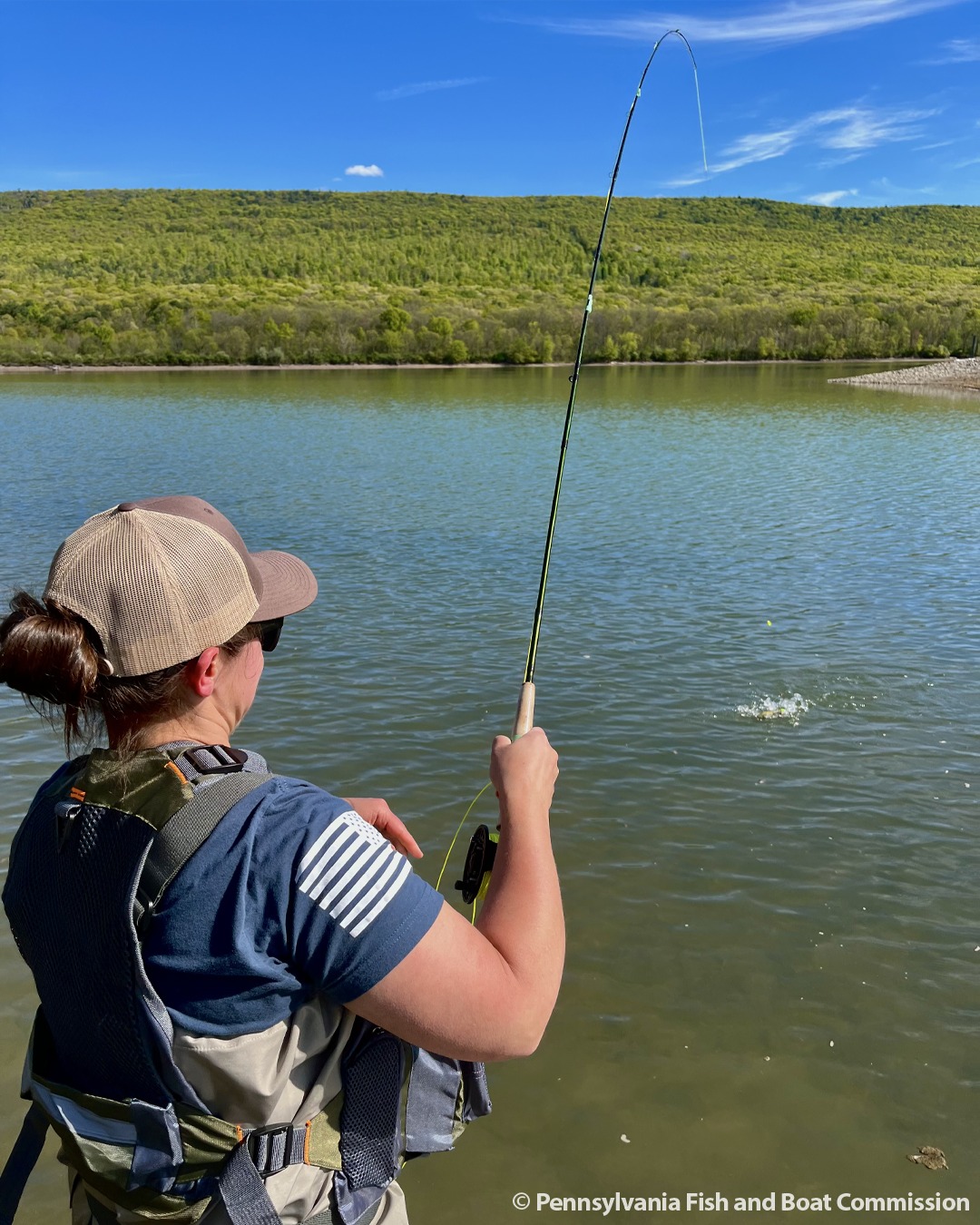 are automatic fishing reels legal in pa Penn International VI Autostop Electric  Tackle World Anglers can fish year-round in