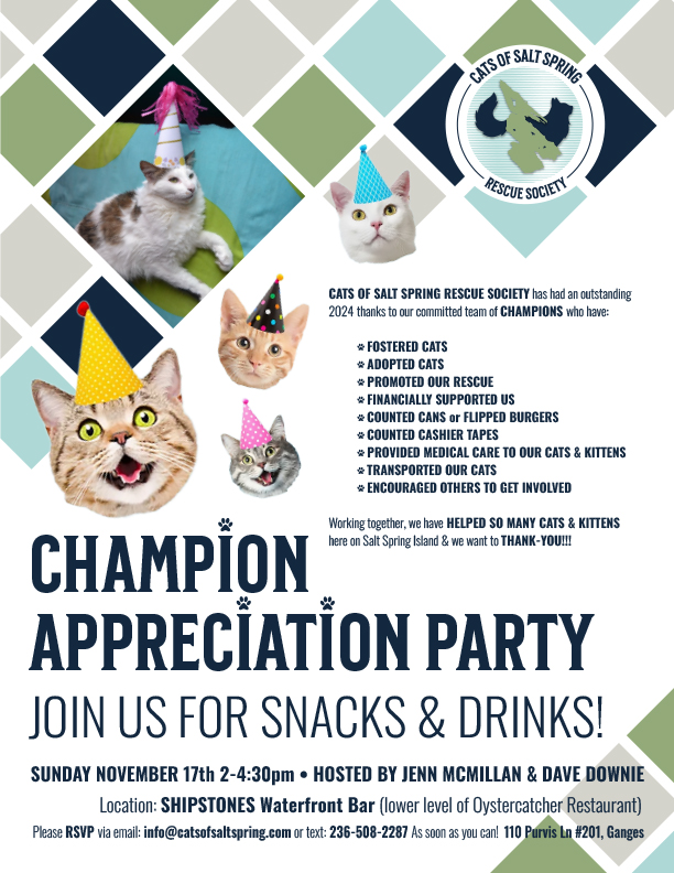 Cats of Salt Spring Rescue Society | Salt Spring Island BC