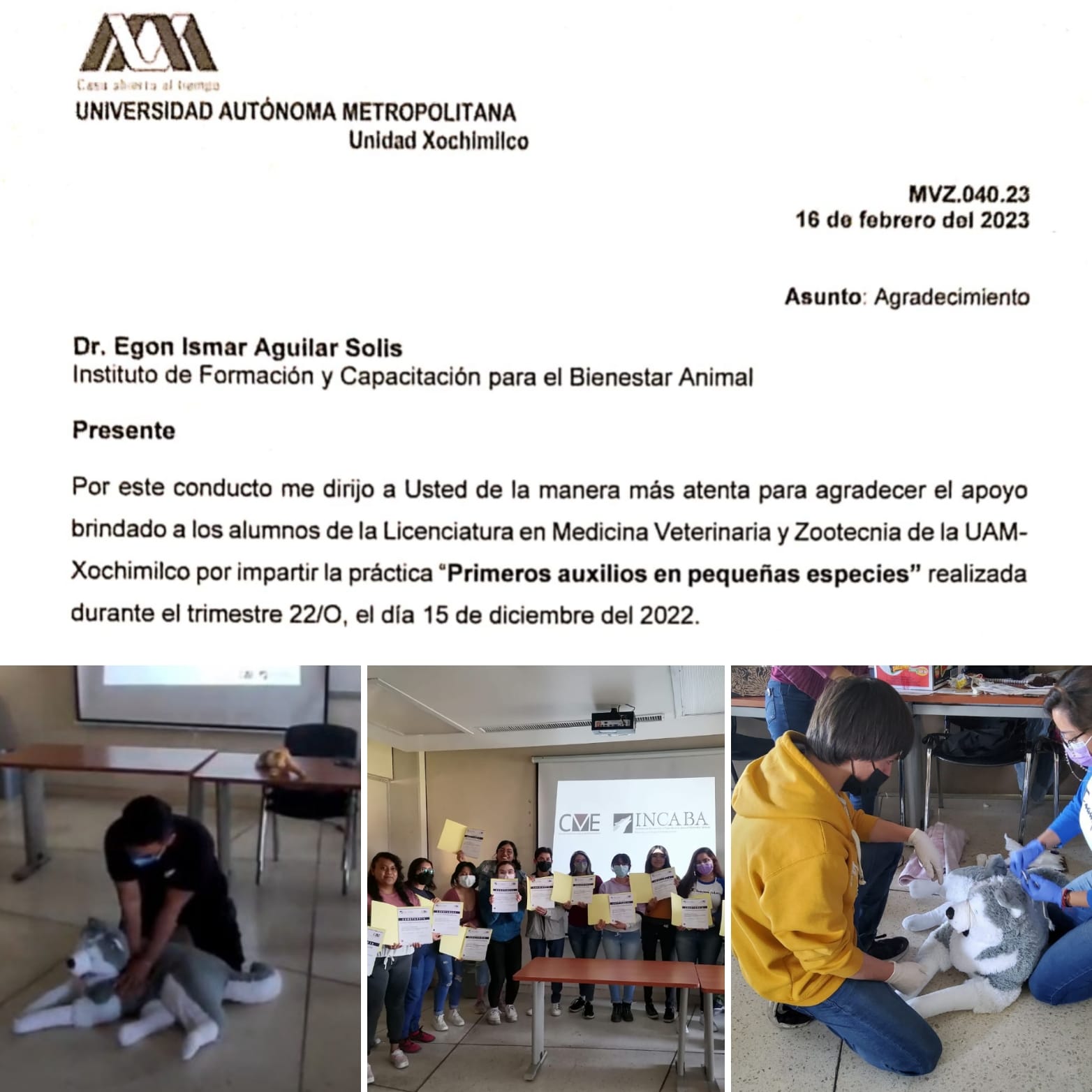 El conocimiento y el... - Incaba Servicios Profesionales