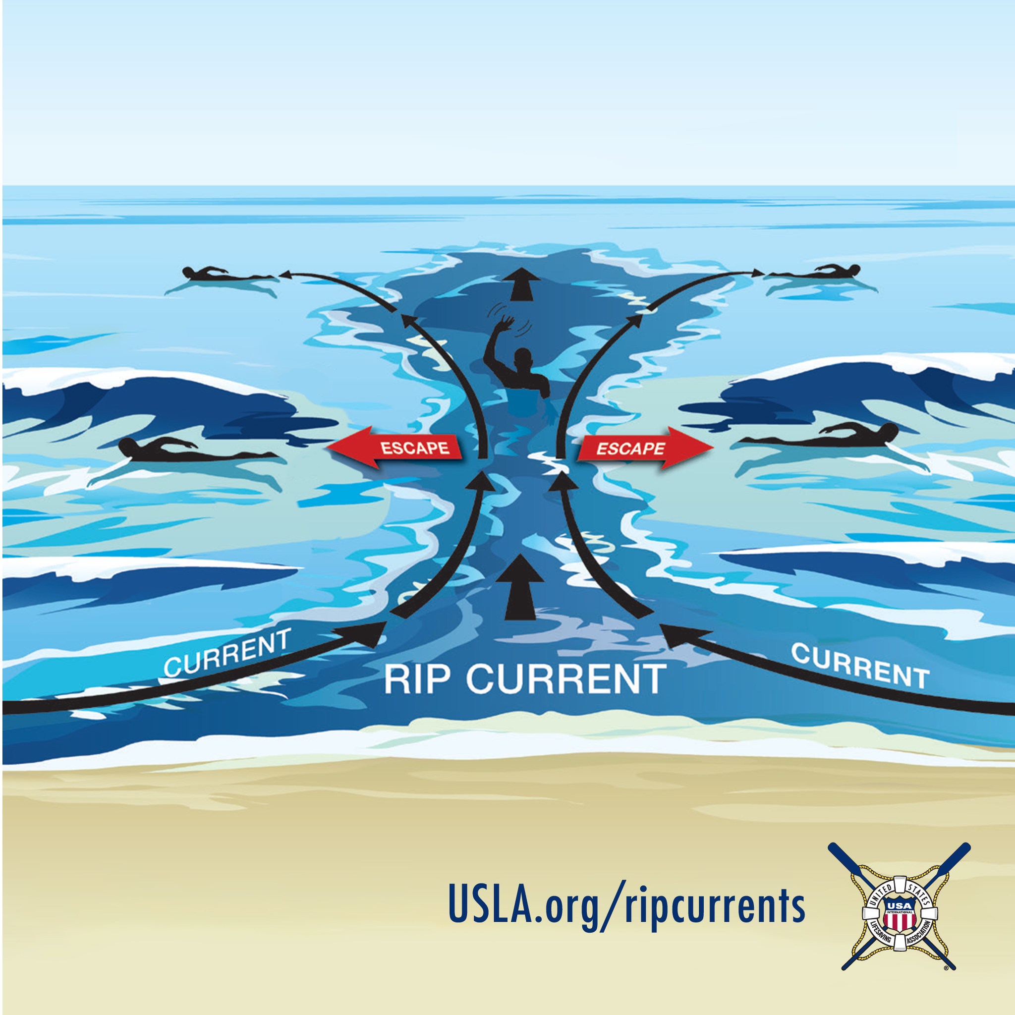 National Beach... - United States Lifesaving Association