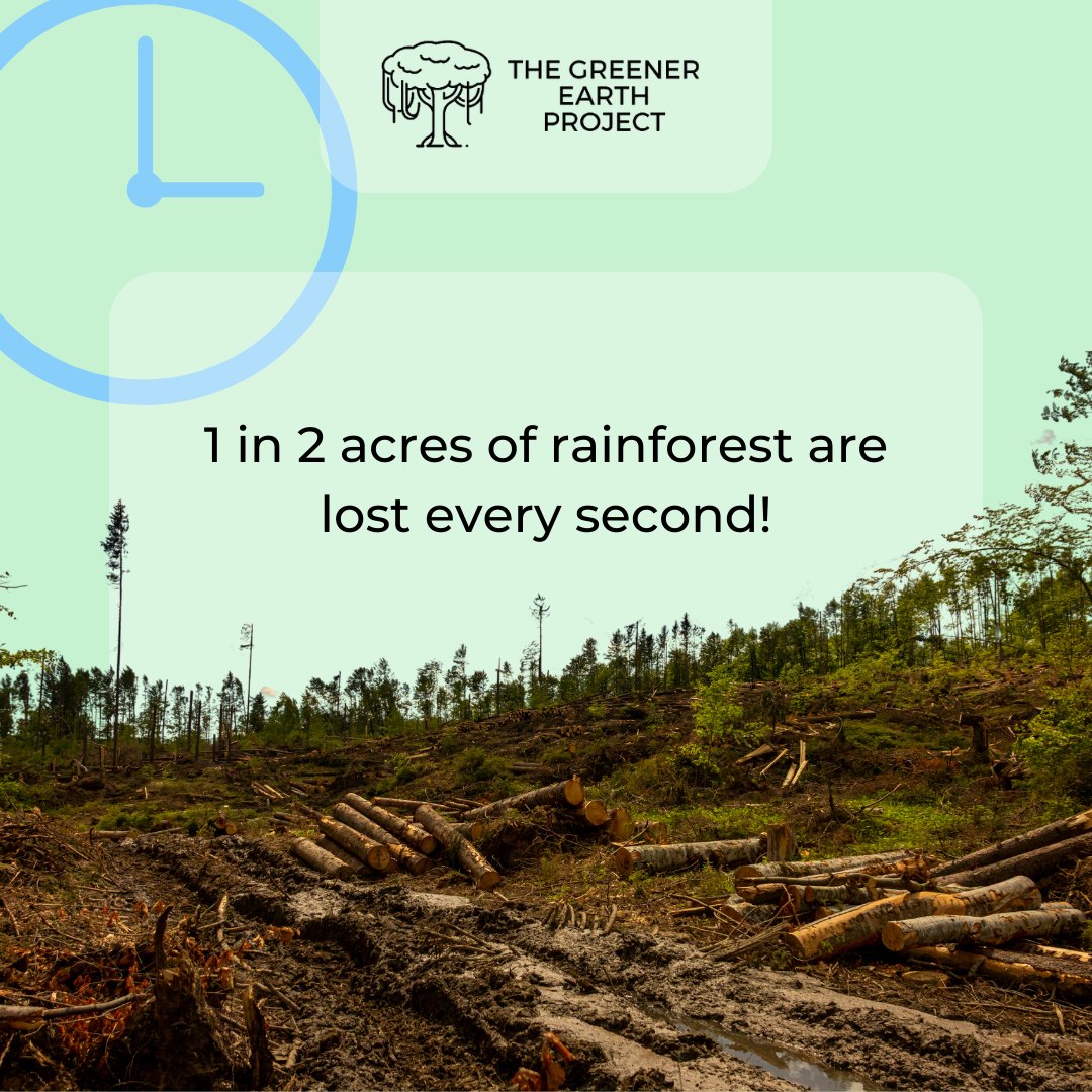 An area the size of... - The Greener Earth Project