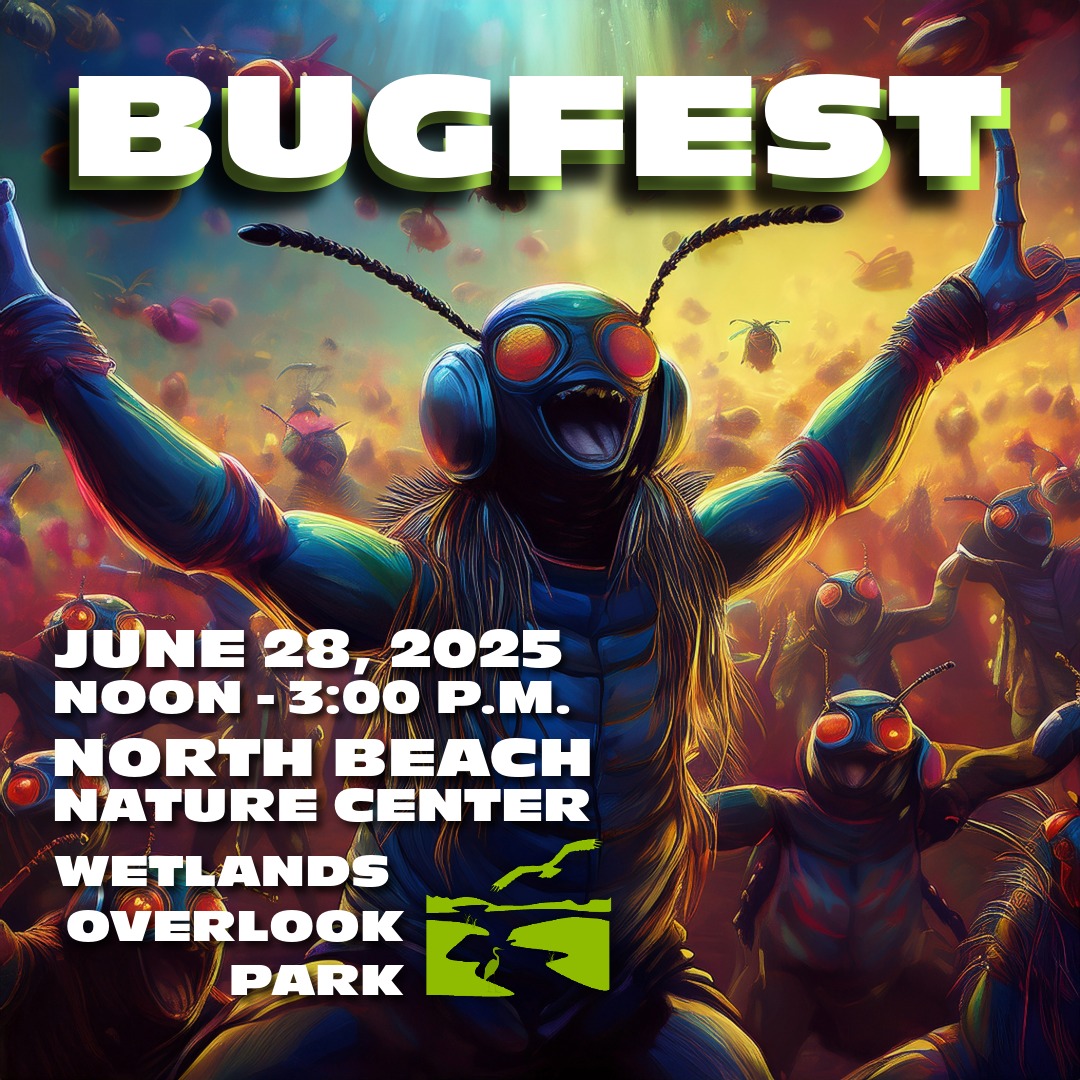 BUGFEST @ The North Beach Nature Center