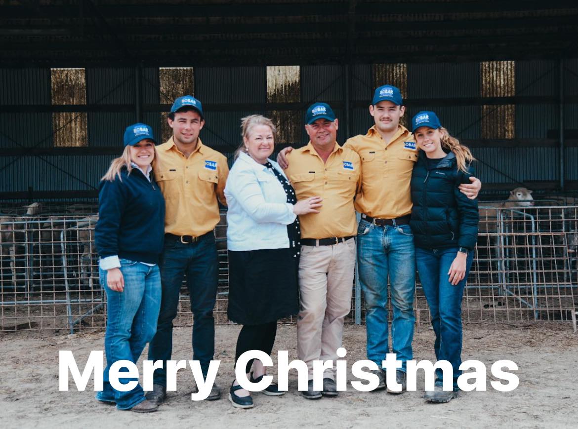 Bo-Bar Poll Dorset Stud | Braidwood NSW