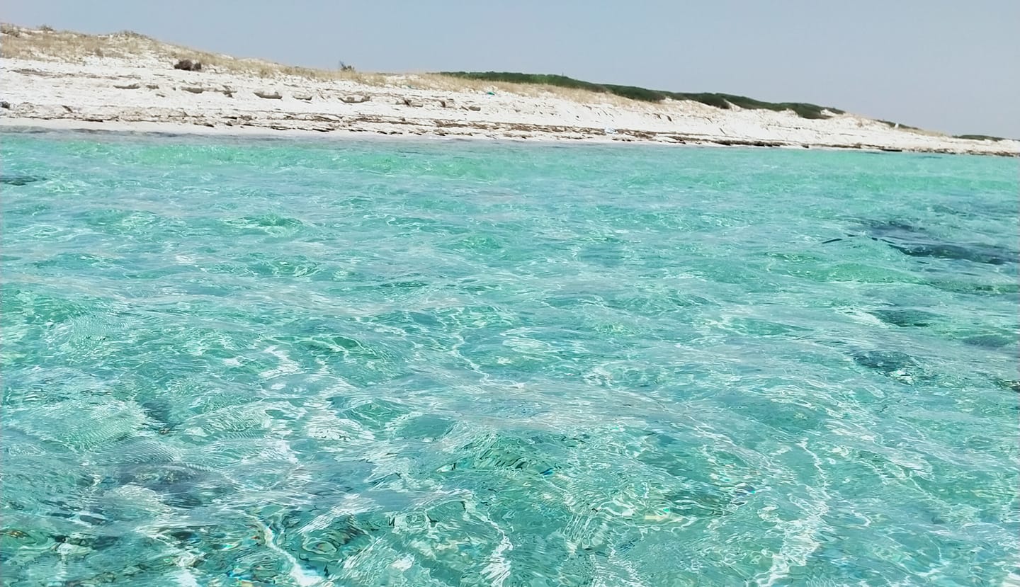 Douira Bay | Chebba