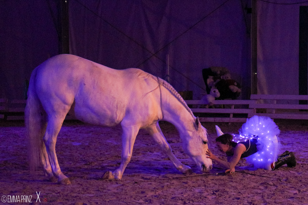 Haras National De Cluny évènements à Venir