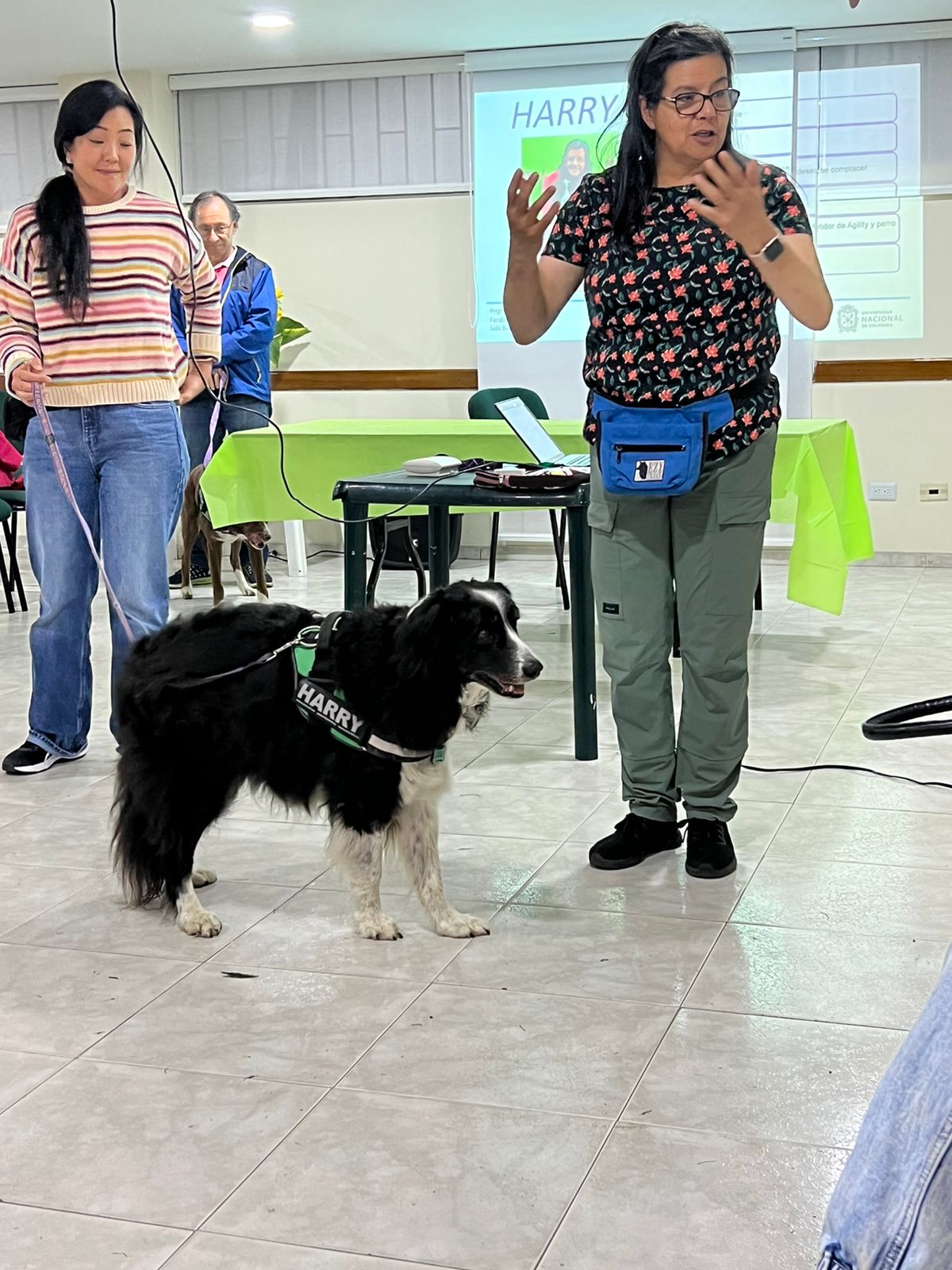 Grama UNAL - 🐶 En nuestro taller #GramaAlBarrio,... | Facebook
