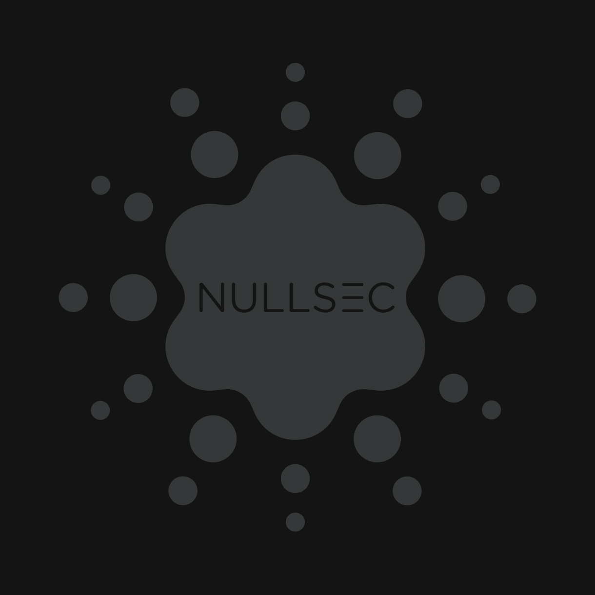 Null Security | Los Mochis
