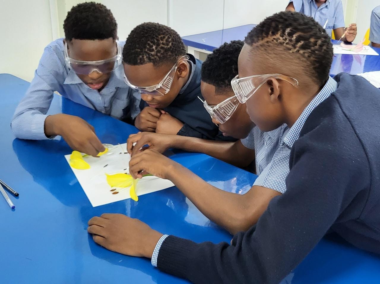 The Grade 7 learners did a dissection... - Curro Bloemfontein | Facebook