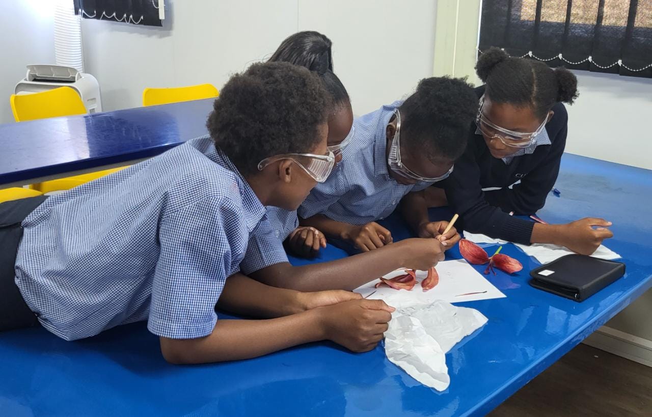 The Grade 7 learners did a dissection... - Curro Bloemfontein