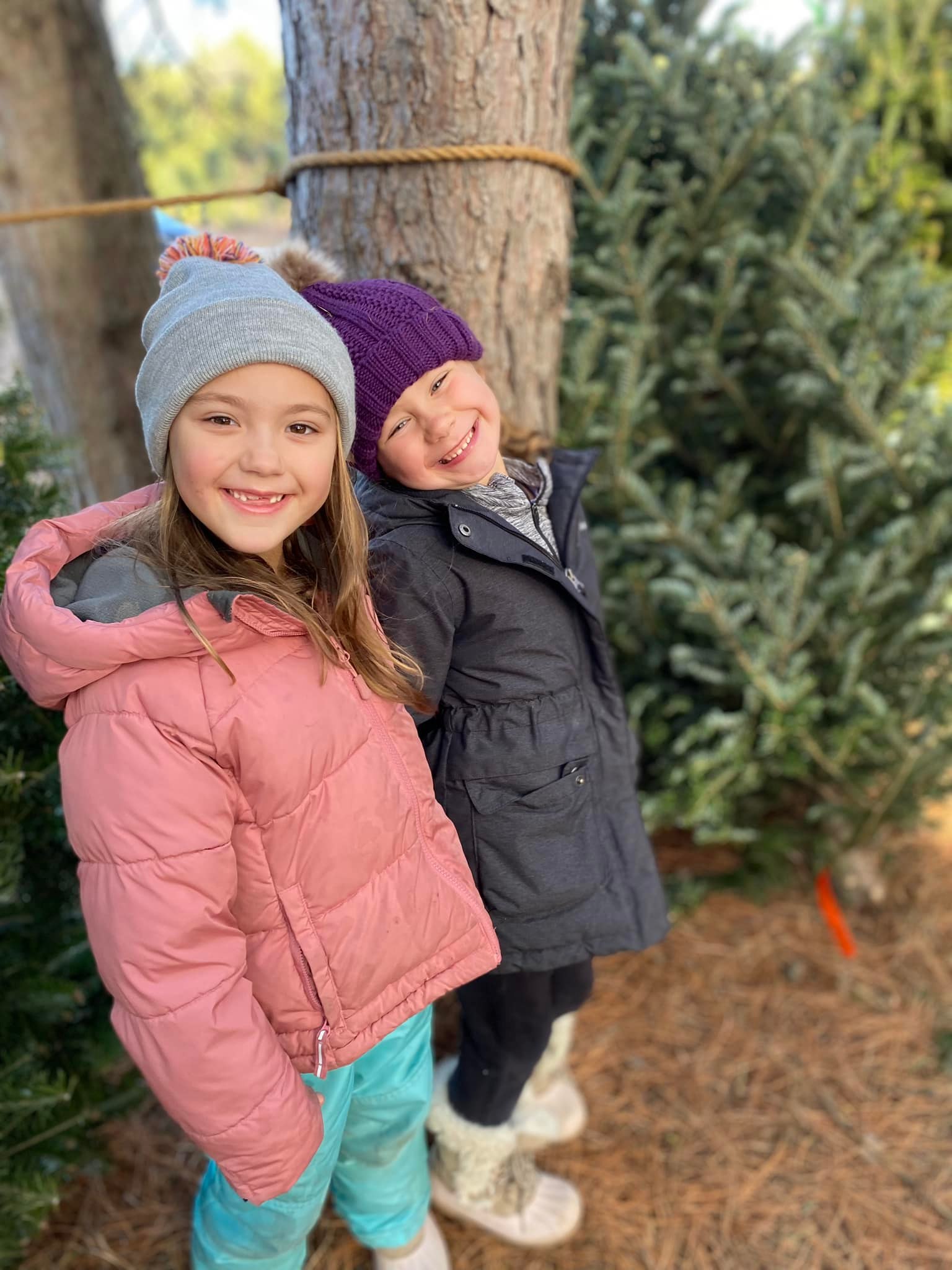 Mountainland Timber Tree Farm | Kellogg MN