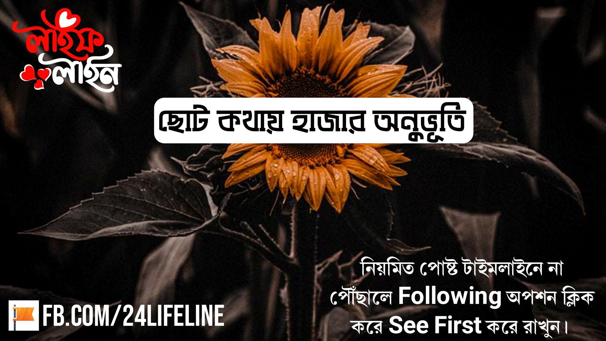 Life Line | Dhaka