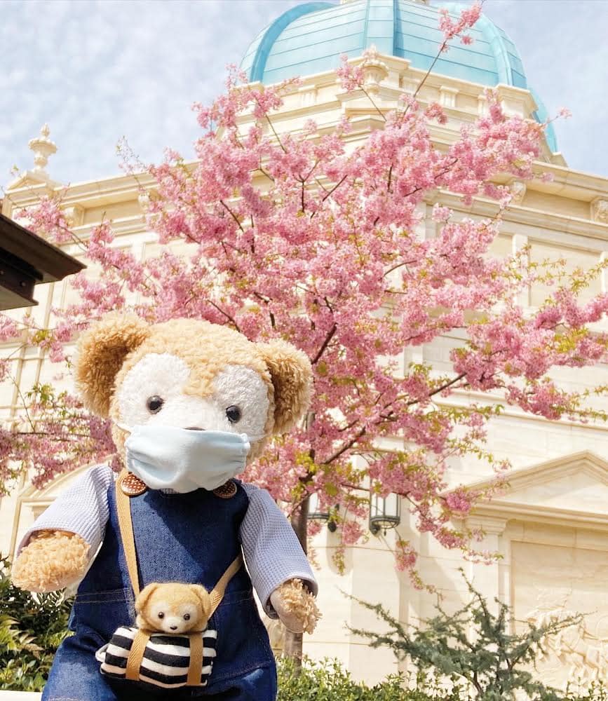 ShellieMayページ Life with Duffy & - Life with Duffy & ShellieMay