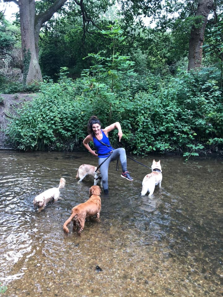 Polly's Pooches | London
