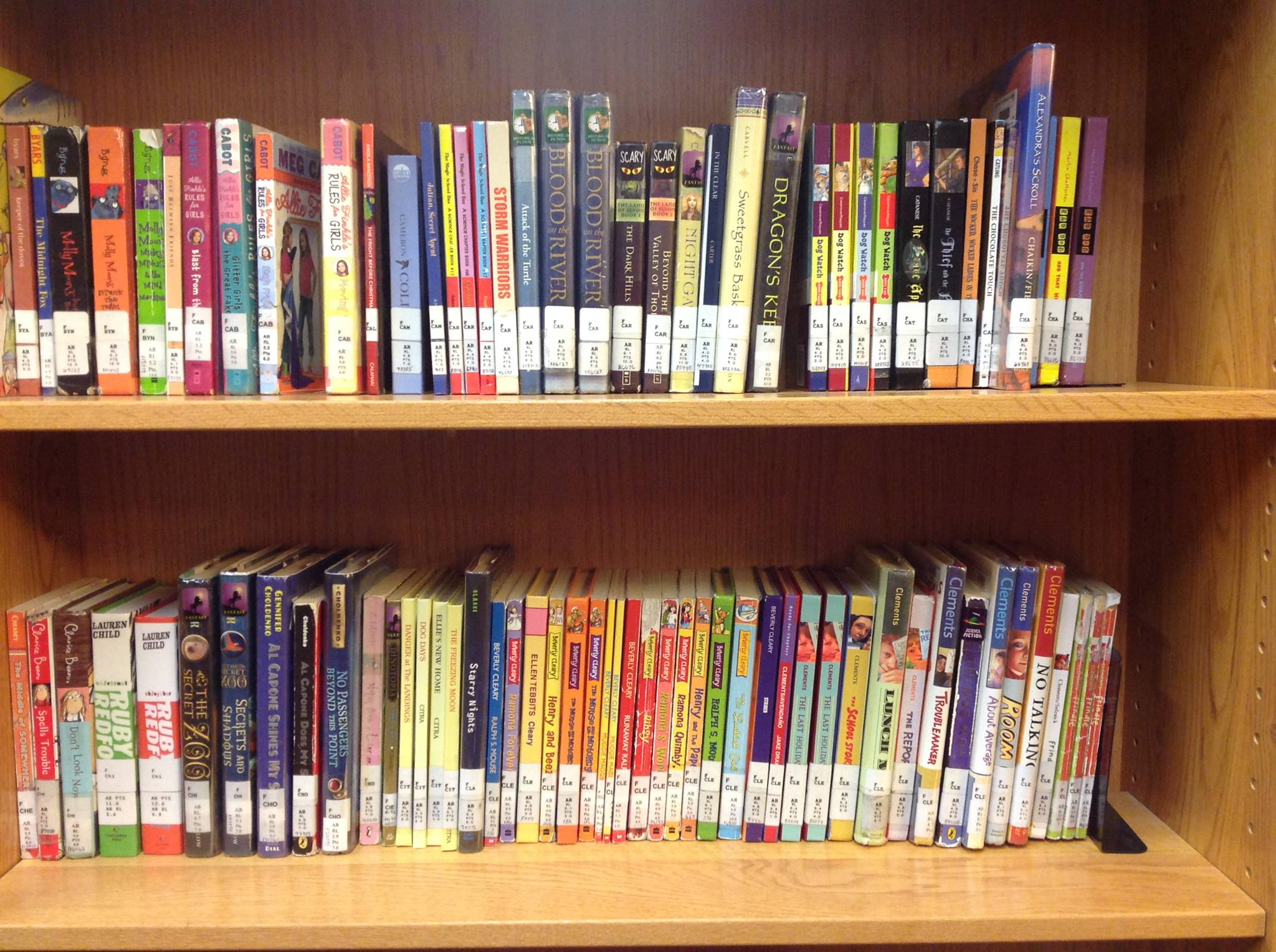 Matoaka Elementary Library | Williamsburg VA