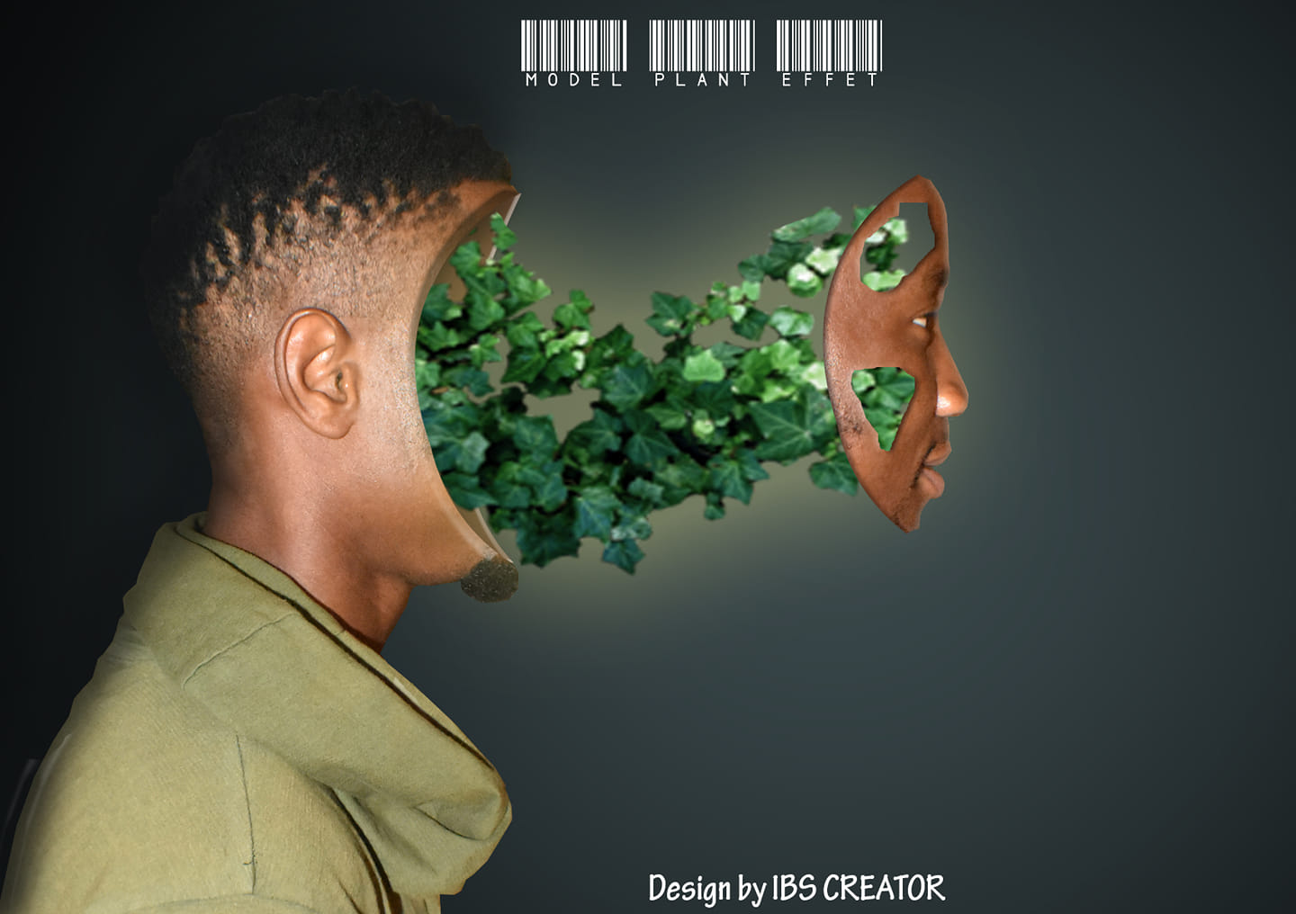 IBS Design creation