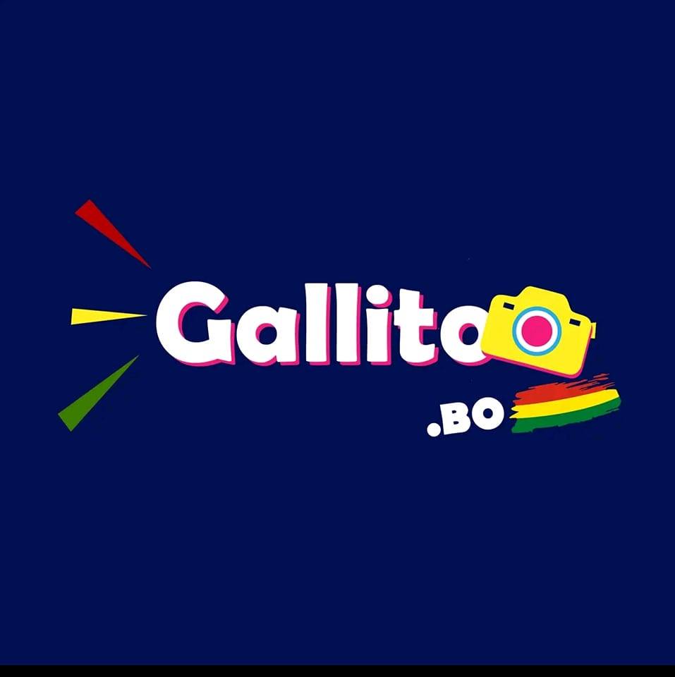 Gallito Bolivia