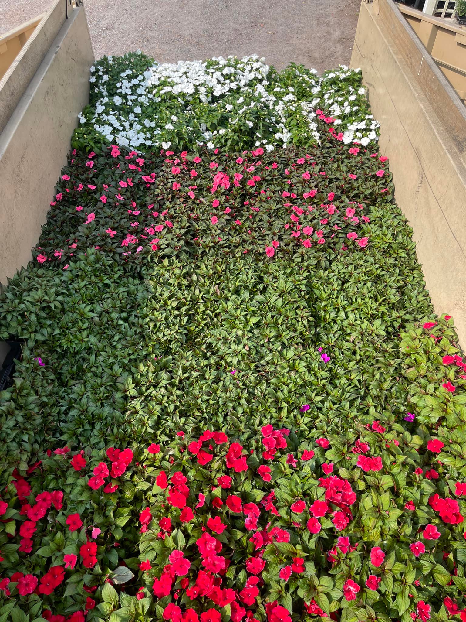 Cape Atlantic Landscaping | North Cape May NJ