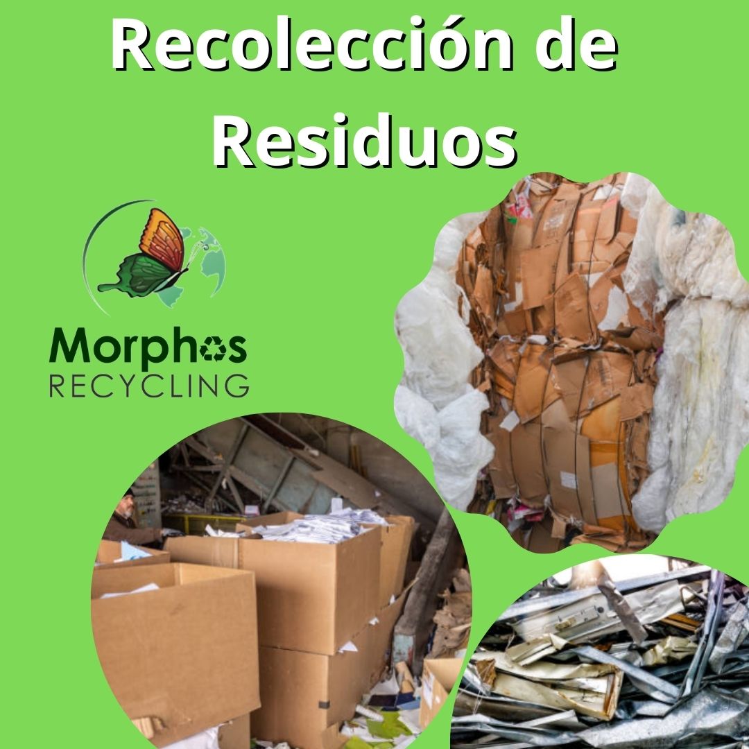 Morphos - ♻️ Recolección y Disposición de Residuos para Reciclaje ♻️ ...
