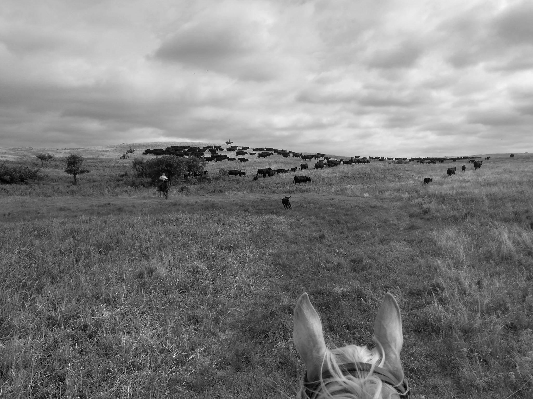 Spickler Ranch North
