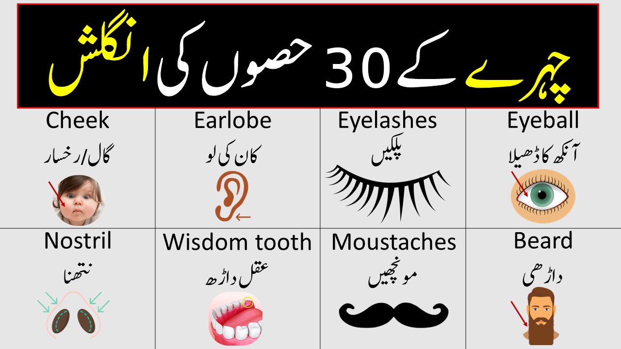 Vocabineer English | 𝐈 ___ 𝐦𝐲 𝐡𝐨𝐦𝐞𝐰𝐨𝐫𝐤 𝐲𝐞𝐬𝐭𝐞𝐫𝐝𝐚𝐲 | Facebook