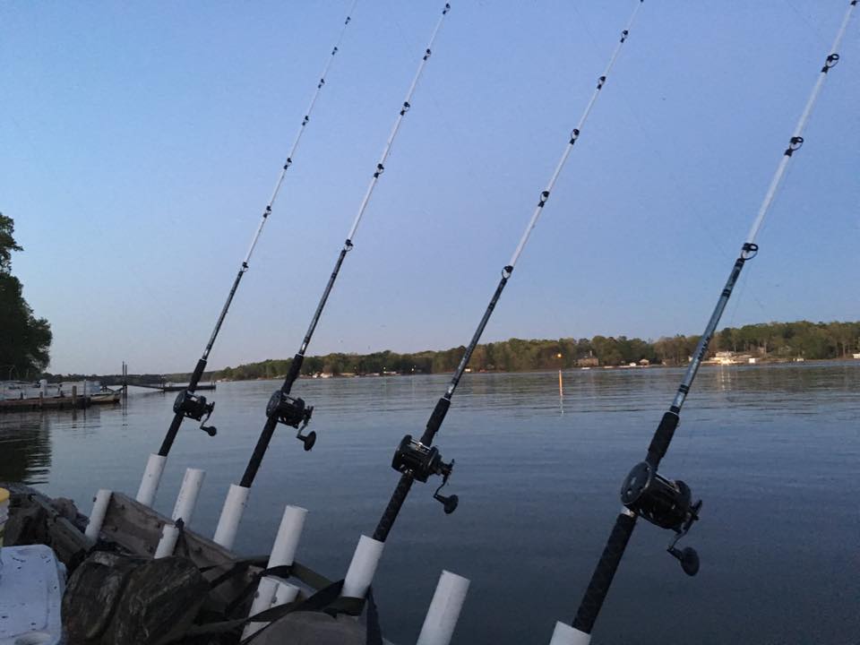 cybex gi plus SIRONA – My Mini Moon St. Croix Premier SCPS70MLF2 Small Streamer Color:White Green Swirl w/ White Tail
