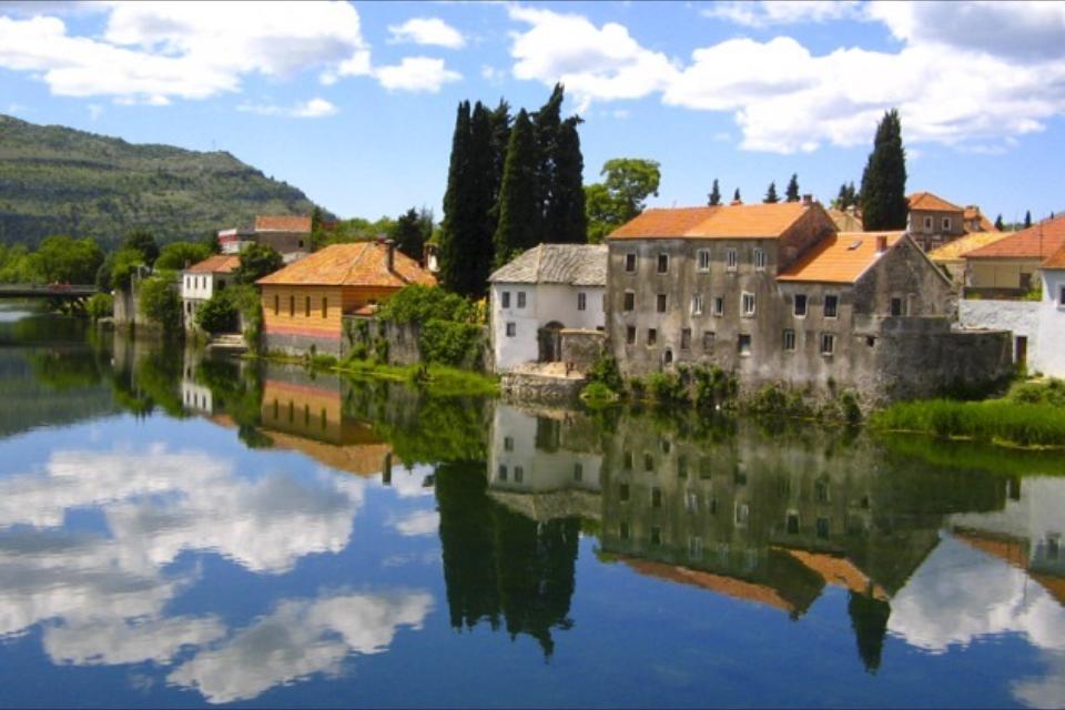 Akvarijumi ribice Trebinje - SIJAMSKI ALGOJED - LISICA je dobroćudna ...