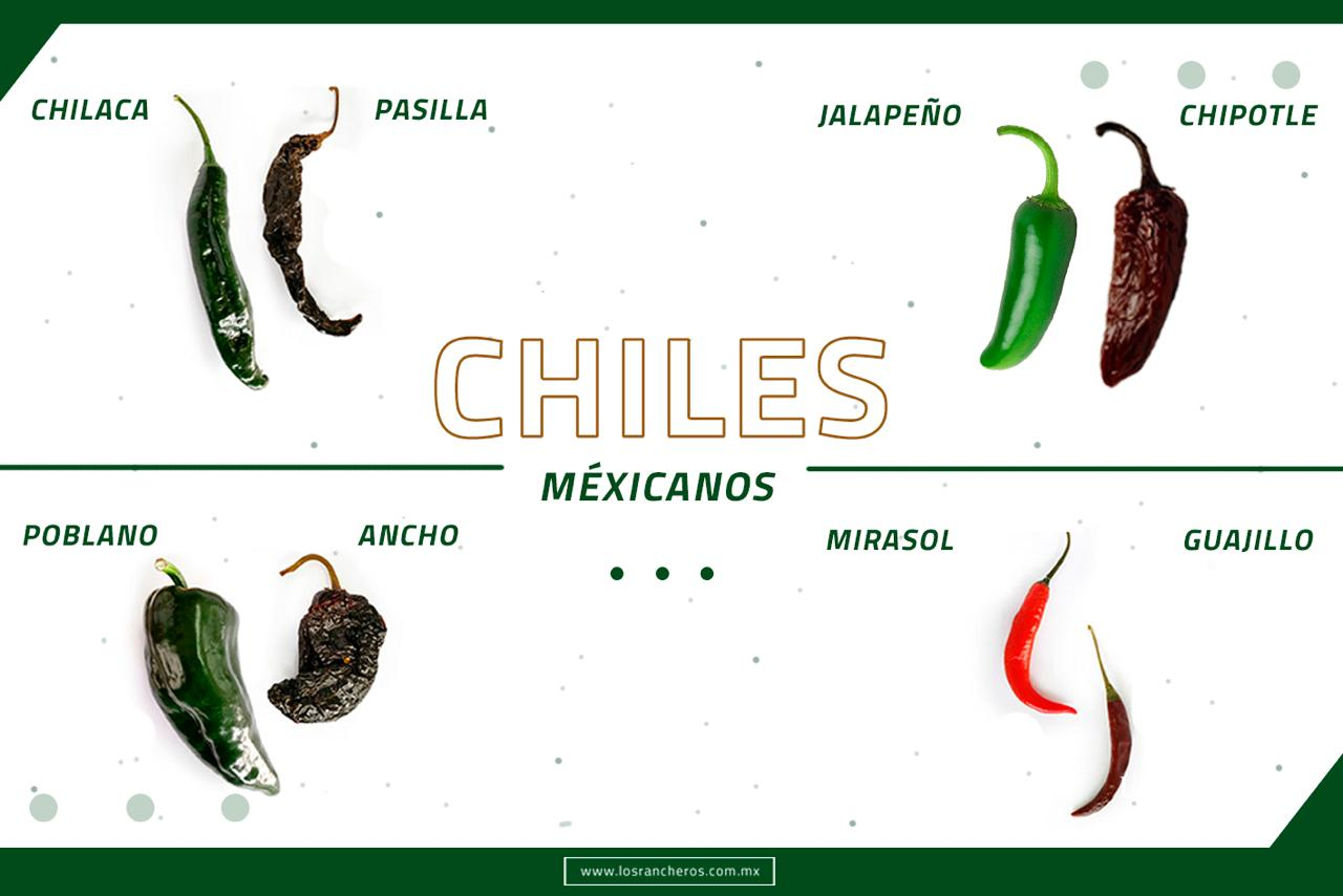 Plantas de chiles son un cultivo de... - Los Rancheros México