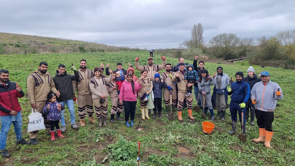 Trees for Havering