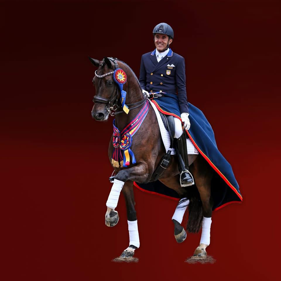 Natural Horsemastership : Dressage-Jumping