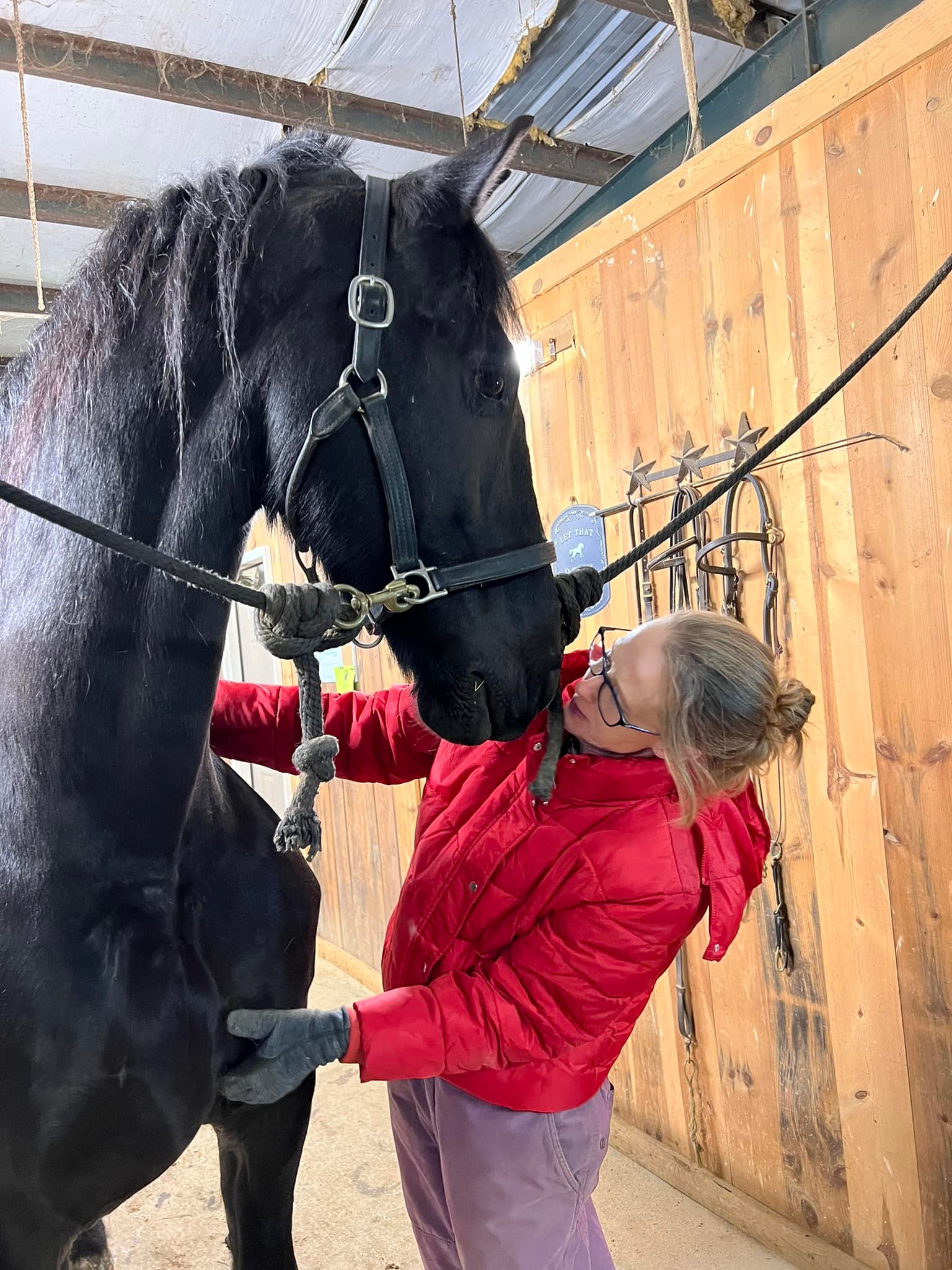 Black Horse Stable Home