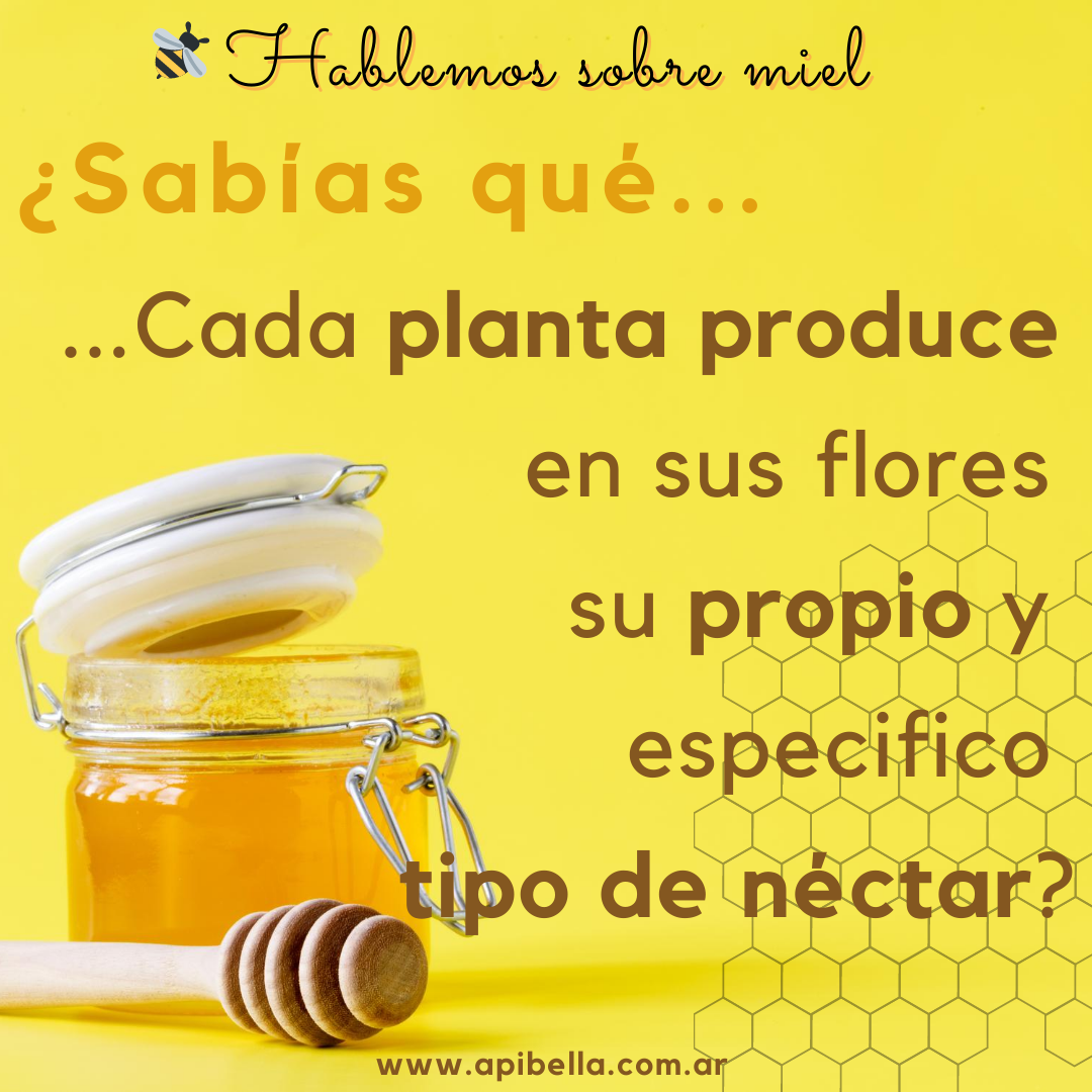 Apibella - En #Apibella contamos con la experiencia para...