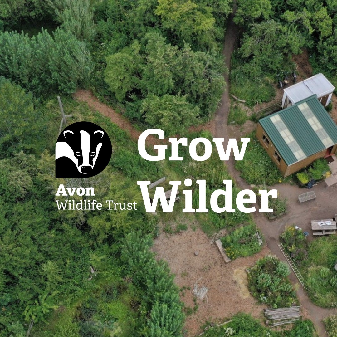 Grow Wilder - Watch Gardeners’ World this Friday 📺 We... | Facebook